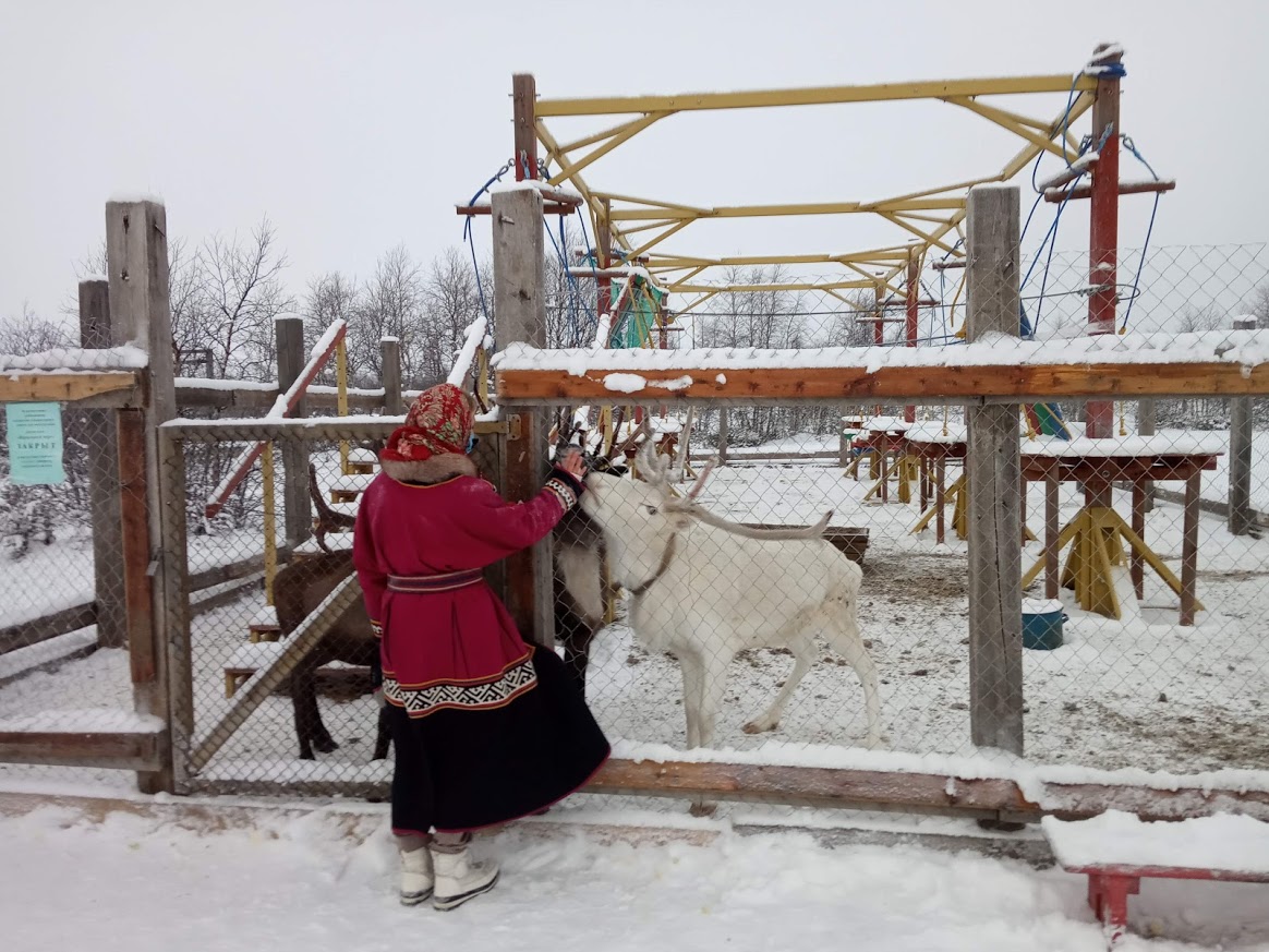Как помочь коренным народам Севера: итоги поездки экспертов «АРСИ» в Ненецкий автономный округ